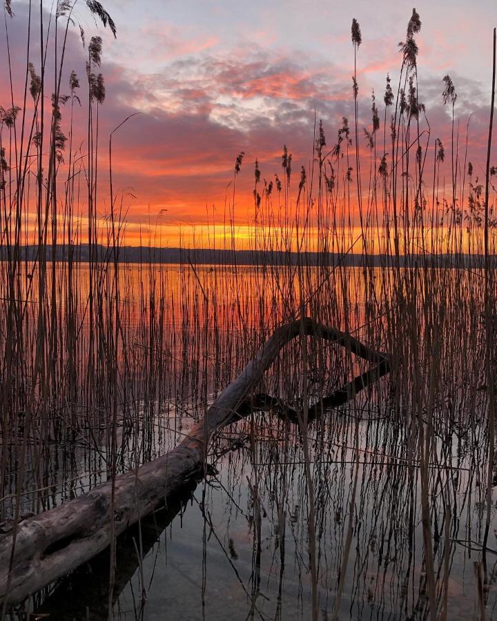 Fewo Happy Place In Traumhafter Lage See Nah อุททิง อัม แอมเมอร์ซี ภายนอก รูปภาพ
